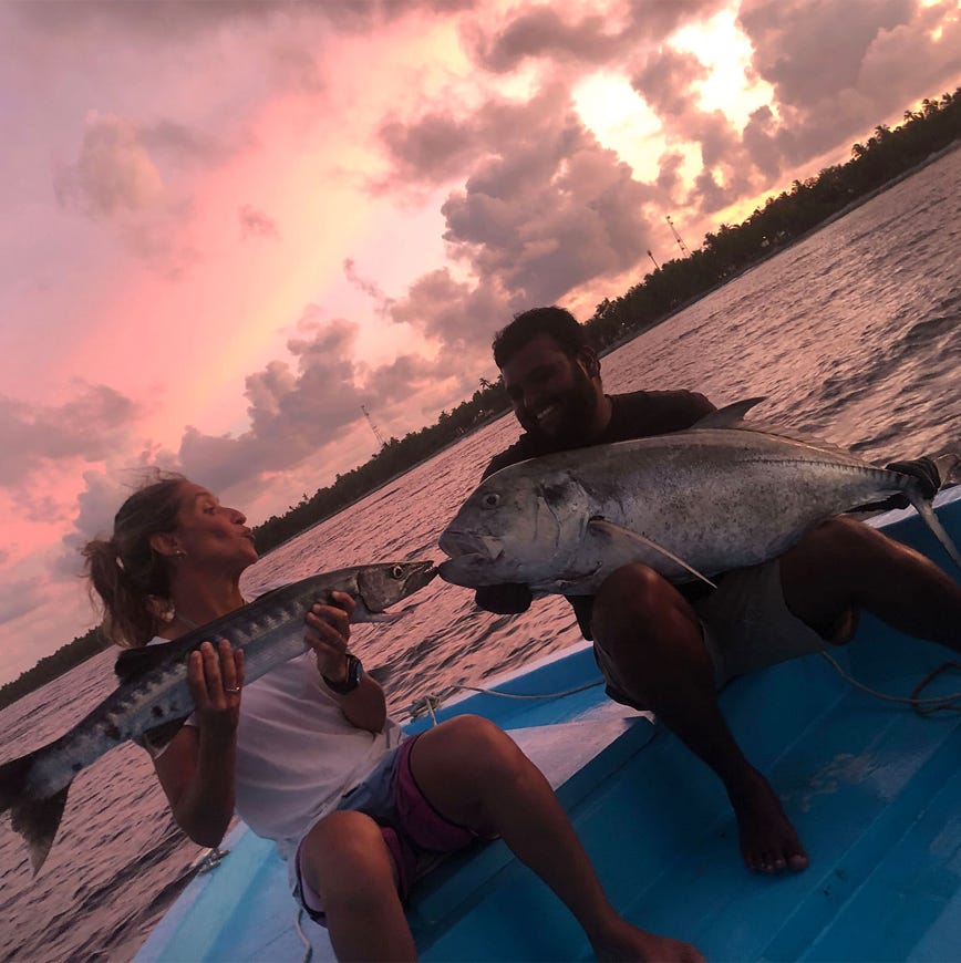 fishing, cruise, sunset