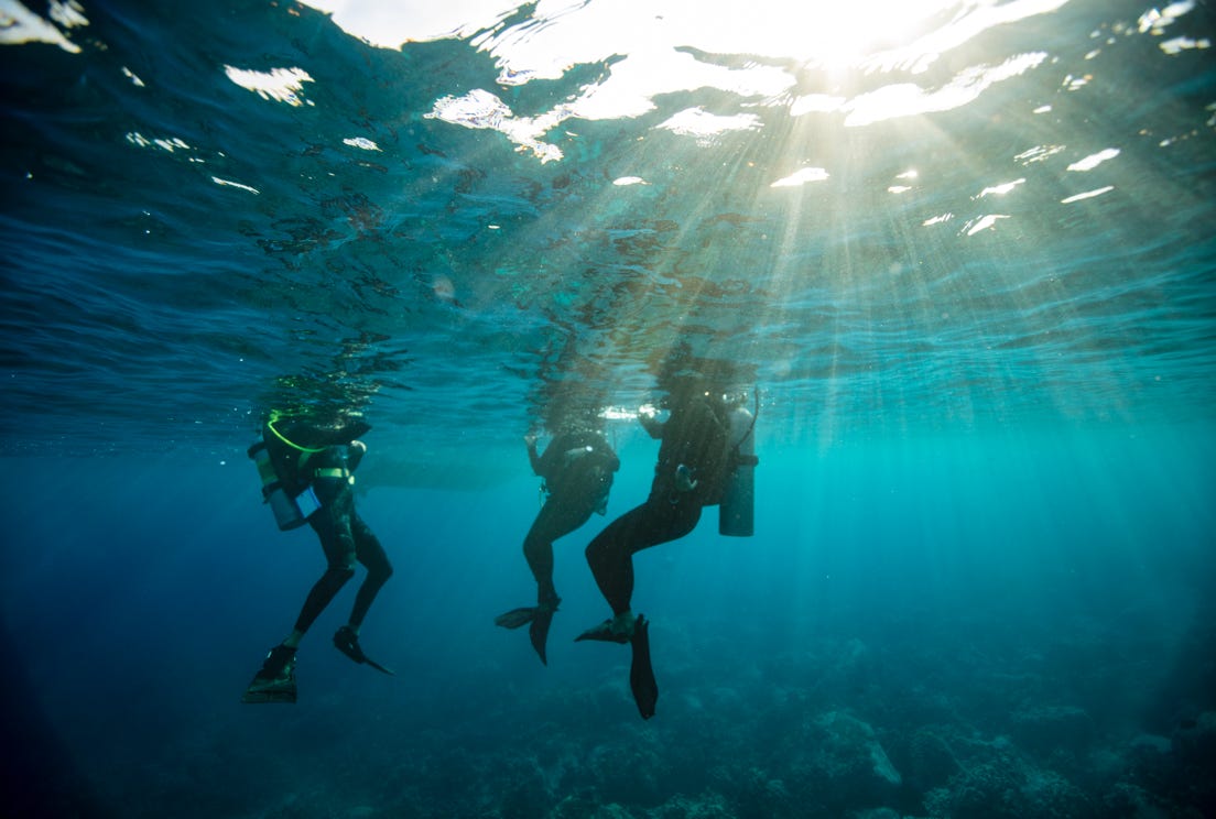 scuba diving courses